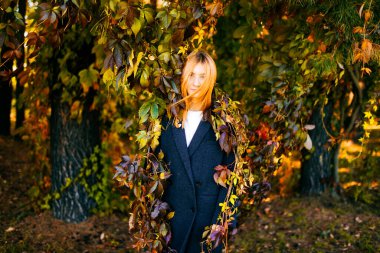 Güneşli bir sonbahar gününde lianalarda dikilen kızıl saçlı ve güzel yüzlü güzel bir genç kızın portresi. Gençlik güzelliği. Sonbahar renk yaprakları. Moda ceketli bir kadın. Çalılıklar ve ağaçlar