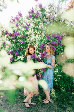 Farklı güzel yaz elbiseleriyle dışarıda poz veren sevimli, mutlu, muhteşem ikiz kardeşler. Parktaki portrede çiçek açan leylak renkli çalılıklardaki sevimli kadın modeller gibi. Aile