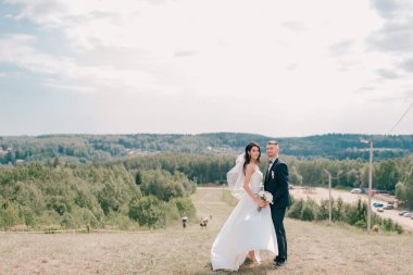 Güneşli bir günde dağın tepesinde poz veren Kafkas düğün çifti