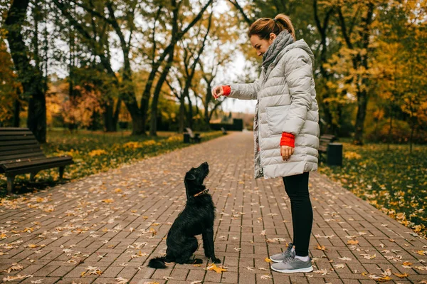 Hermosa Mujer Caucásica Con Pelo Oscuro Juega Con Perro Parque —  Fotos de Stock