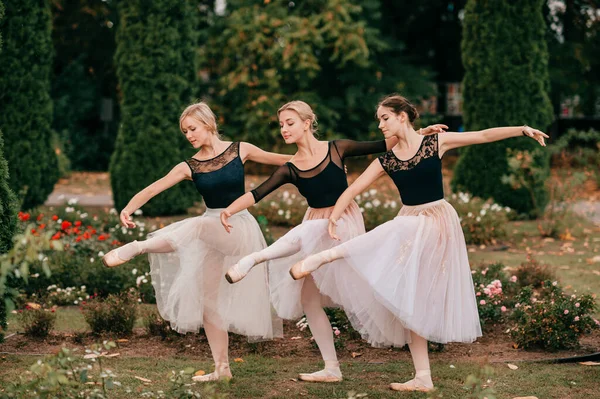 Drei Ballerinen Tanzen Und Posieren Wunderschönen Park Mit Büschen Und — Stockfoto