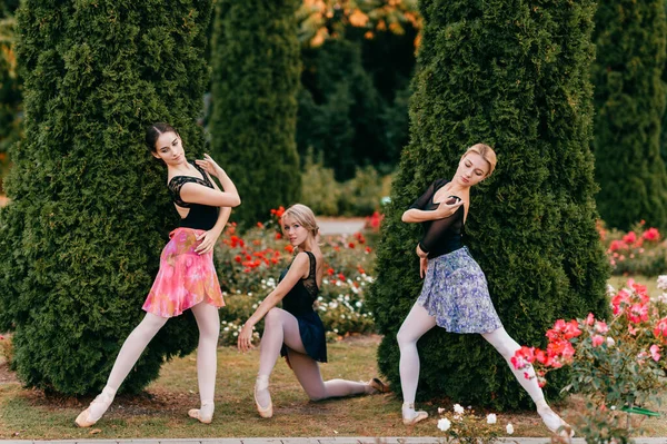 Três Bailarinas Modernas Posando Belo Parque — Fotografia de Stock