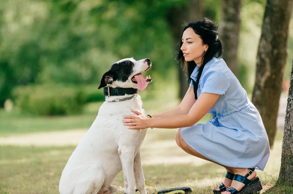 Junge Schöne Brünette Fröhliche Mädchen Blauem Kleid Haben Spaß Und — Stockfoto