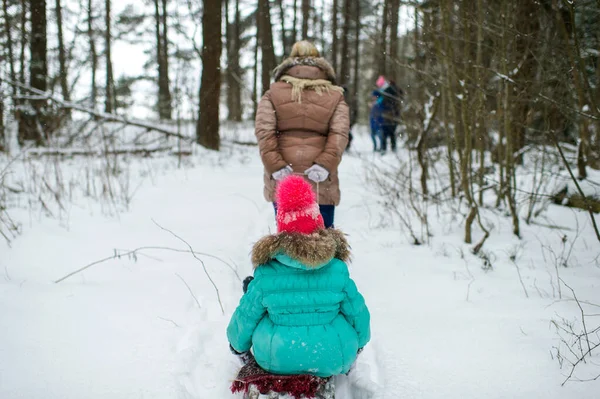 Mutter Zieht Schlitten Mit Ihrer Tochter Die Einem Verschneiten Wintertag — Stockfoto