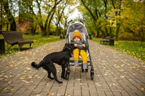 Small Pretty Child Yellow Grey Autumn Clothes Sits Pram Plays — Stock Photo, Image