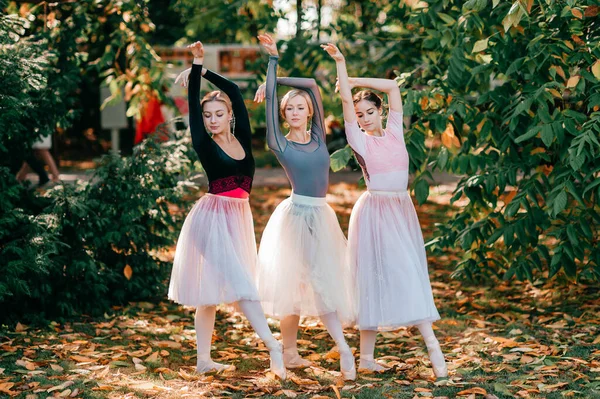 Three ballerina girls posing and dancing in beautiful park.