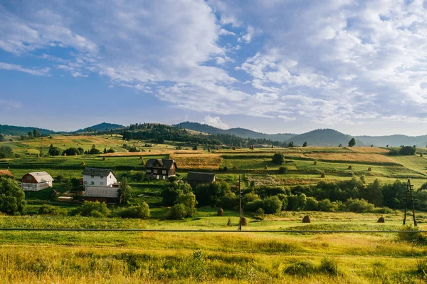 Campo Paisaje Natural Rural Verano Día Soleado Descubre Ucrania Pueblo — Foto de Stock