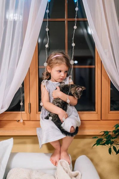 드레스를 예쁘게 코카서스의 소녀는 창가에 스러운 고양이와 웃으며 있습니다 — 스톡 사진