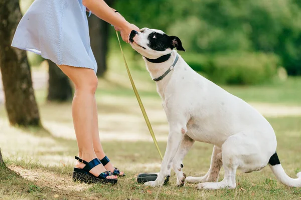 Junge Schöne Brünette Fröhliche Mädchen Blauem Kleid Haben Spaß Und — Stockfoto