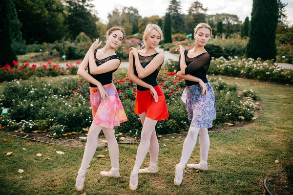 Três Mulheres Graciosas Dançarinas Balé Posando Verão Belo Parque — Fotografia de Stock