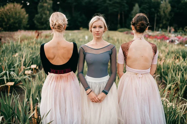 Drie Vrouwen Ballerina Poseren Het Veld Witte Tutu — Stockfoto
