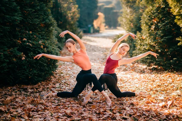 Zwei Schlanke Balletttänzerinnen Tanzen Und Posieren Bei Schönem Herbstwetter Park — Stockfoto