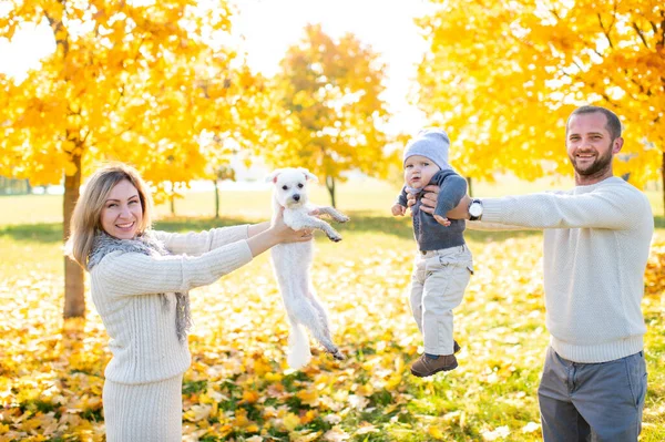 공원의 재미있는 강아지와 스러운 아이를 아버지와 어머니 — 스톡 사진