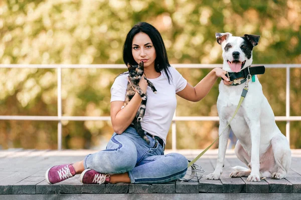 Lifestyle Portrait Beautiful Young Brunette Girl Little Cat Big Hound — Stock Photo, Image