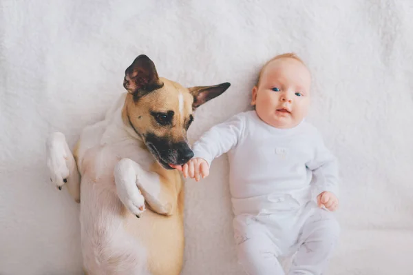 침대에 누워서 강아지와 갓난아기 초상화 스러운 커플의 우정이지 귀여운 아이가 — 스톡 사진