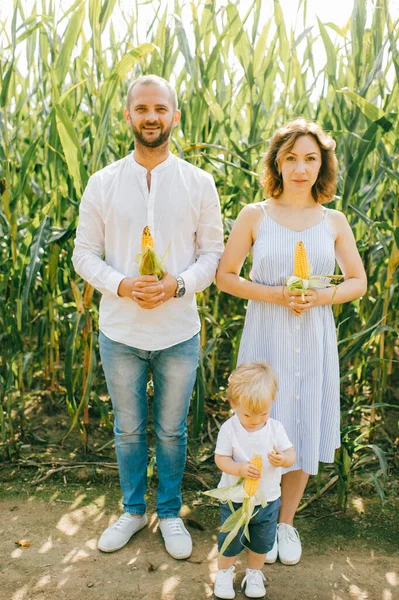 Cheerful family of three have a lot of fun together in the big cornfield in hot summer morning.