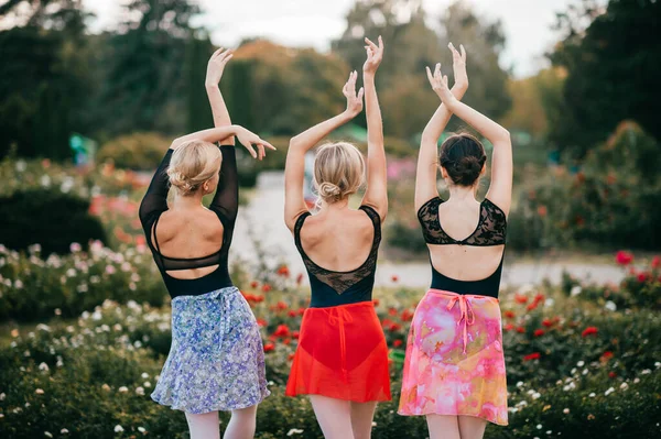 Retrato Por Detrás Tres Elegantes Bailarinas Posando Hermoso Parque Con —  Fotos de Stock
