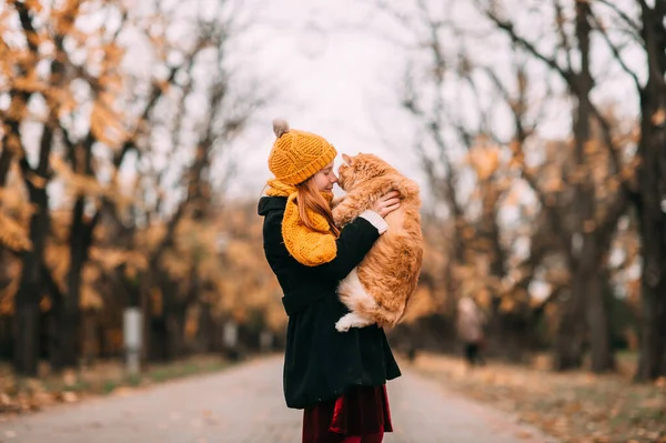 在秋天的树谷里 一个满脸雀斑 面红耳赤的小女孩 在她的面前抱着一只可笑的小猫 — 图库照片