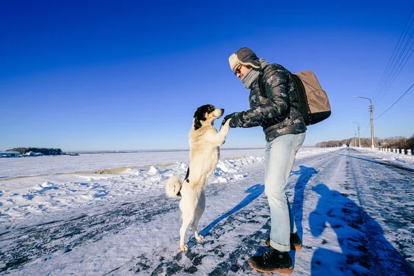 Дорослий Стильний Чоловік Позує Доброзичливою Собакою Полі Снігу — стокове фото