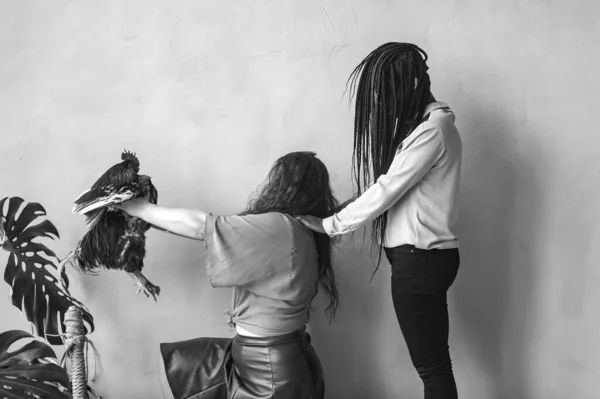 Weird and odd female interracial couple with hair covering their faces. African american girl holding hands on shoulders of her caucasian friend with chicken