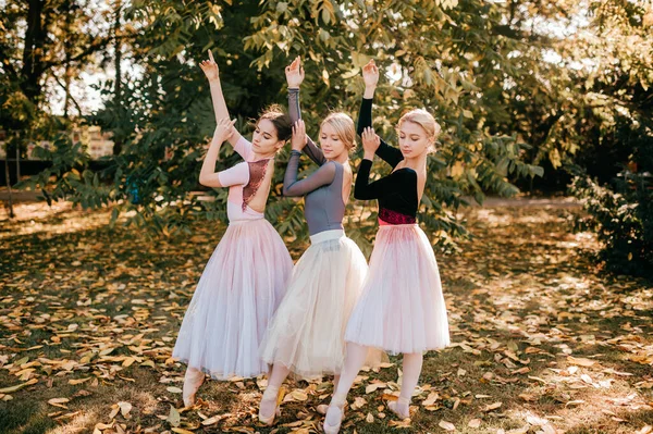 Τρία Κορίτσια Μπαλαρίνας Ποζάρουν Και Χορεύουν Στο Όμορφο Πάρκο — Φωτογραφία Αρχείου