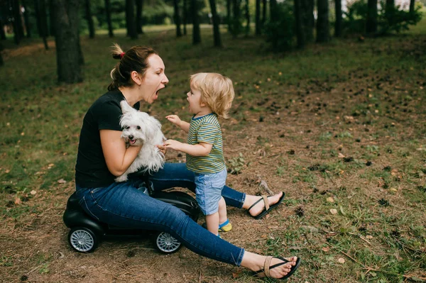 黒のTシャツと青のジーンズでハンサムなCaucasian Fenaleとともに彼女の小さな子供と彼らの白い犬で森の中で遊ぶ — ストック写真