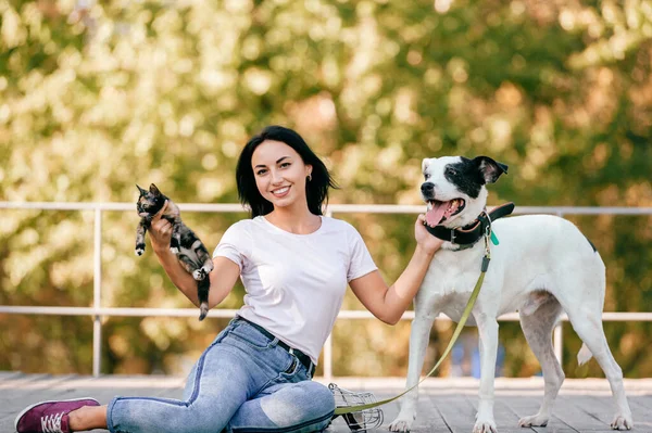 Lifestyle Portrait Beautiful Young Brunette Girl Little Cat Big Hound — Stock Photo, Image