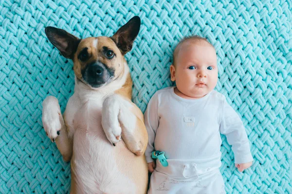 Recién Nacido Estilo Vida Suave Enfoque Retrato Acostado Espalda Junto —  Fotos de Stock