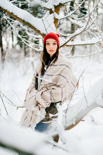 Молодая Привлекательная Девушка Покрытая Теплым Плащом Позирующая Среди Снежных Ветвей — стоковое фото