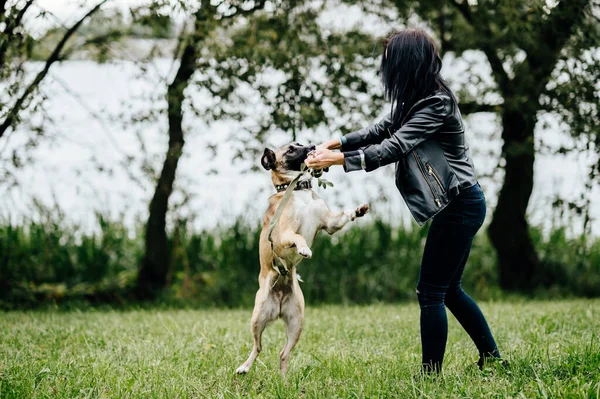 Joven Guardián Activo Los Animales Chica Jugando Divertirse Con Furioso — Foto de Stock