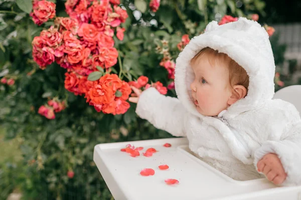 Encantador Menino Sentado Cadeira Alta Livre Nos Arbustos Com Flores — Fotografia de Stock