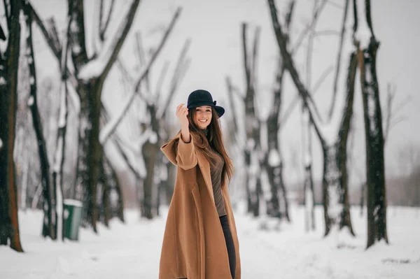 若いです陽気な女の子でブラウンスタイリッシュなコートポーズで冬の木の谷 — ストック写真