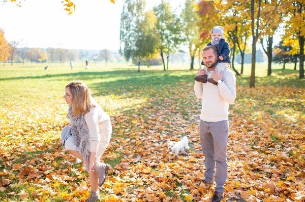 Lycklig Far Håller Sitt Vackra Barn Sina Axlar Höstparken — Stockfoto