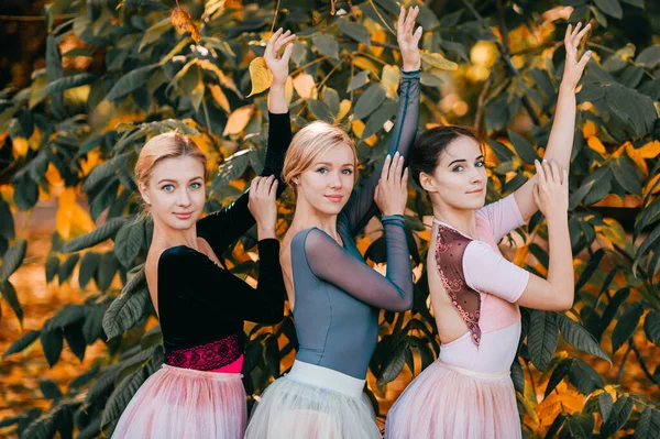 Três Bailarinas Meninas Posando Dançando Belo Parque — Fotografia de Stock