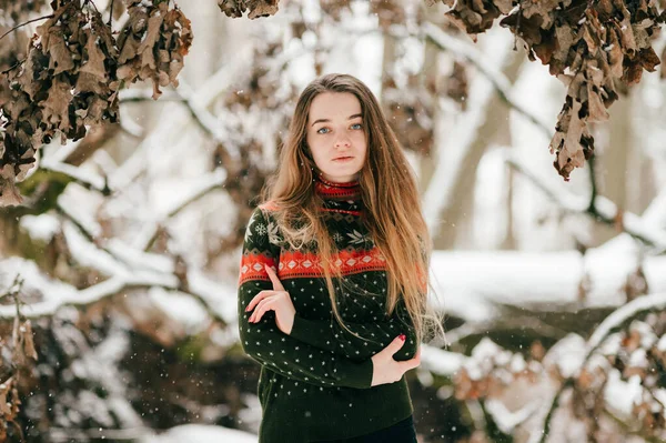 年轻可爱的女孩 身穿有图案的圣诞毛衣 在雪地的冬季森林里摆姿势拍照 — 图库照片