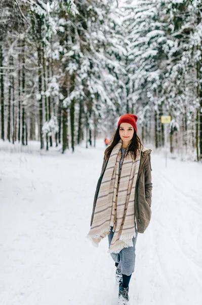 Молода Приваблива Дівчина Хіпстер Ходить Снігових Лісах — стокове фото