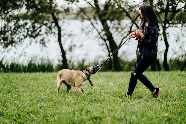 Junge Aktive Hüterin Der Tiere Mädchen Spielen Und Haben Spaß — Stockfoto