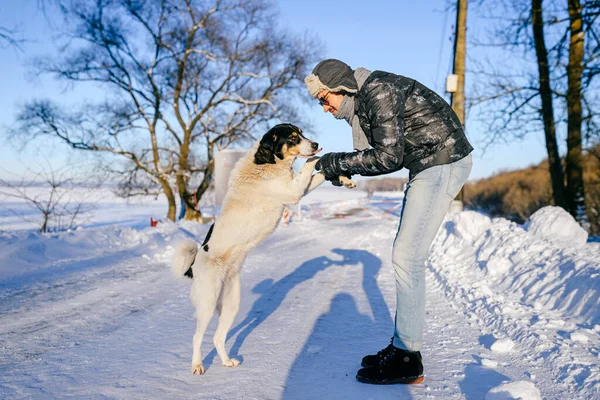 Adulto Homem Feliz Posando Com Cão Amigável Estrada Neve — Fotografia de Stock