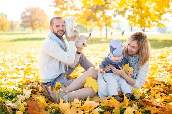 Šťastná Rodina Svým Miminkem Venkovní Portrét Podzimním Parku — Stock fotografie