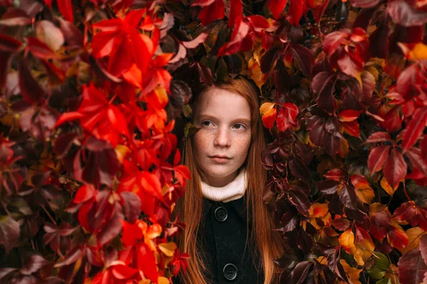 Lugn Rödhårig Flicka Med Fräknar Ansikte Står Inne Höst Murgröna — Stockfoto