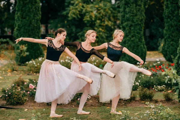 Tres Bailarinas Bailando Posando Hermoso Parque Con Arbustos Flores —  Fotos de Stock
