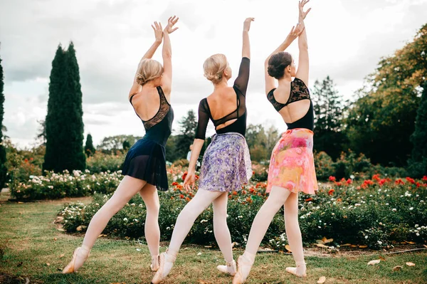 Grupo Bailarinas Posando Con Gracia Drama Jardín Con Flores —  Fotos de Stock