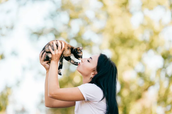 Beautiful Young Girl Sits Sideways Kisses Kitten Her Hands Little — Stock Photo, Image
