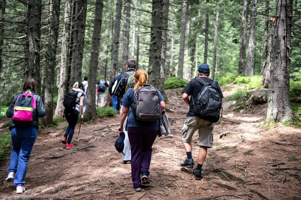 Hiking. Backpackers hiking up. Mountain trekking. Men with backpacks on trek