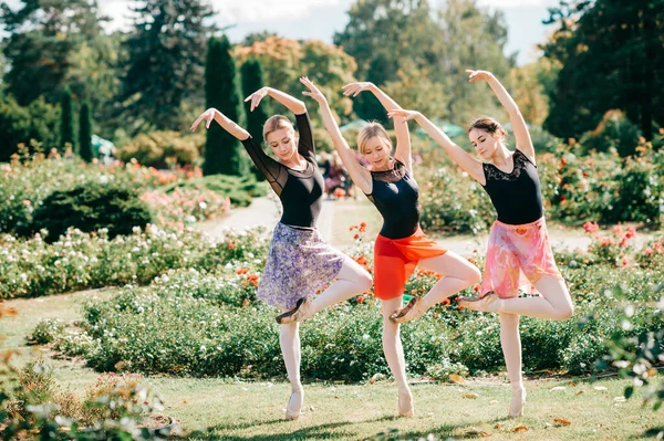 Три Грациозные Балетные Танцовщицы Позируют Танцуют Летнем Красивом Парке — стоковое фото