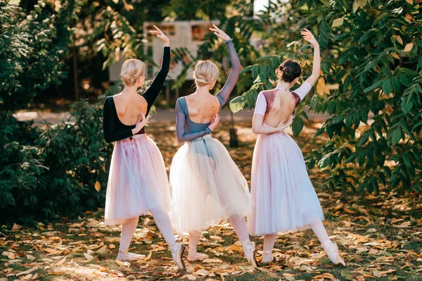 Trzy Dziewczyny Baleriny Pozowanie Taniec Pięknym Parku — Zdjęcie stockowe