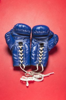 Boks serisi: mavi kırmızı deri Boks eldiveni
