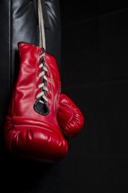 Boks eldiveni serisi: Kum torbasına asılı boks eldiveni