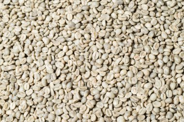 Kahve serisi: ham yeşil kahve çekirdekleri arka plan