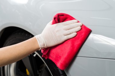 Araba serisi ayrıntılı: gri araba Temizleme